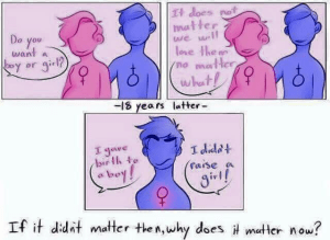 "Do you want a boy or girl?" / "It does not matter, we will love them no matter what!" / 18 years later - "I gave birth to a boy!" "I didn't raise a girl!" / If it didn't matter then, why does it matter now?