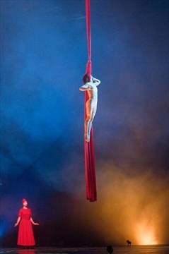 35ebbf7541bd846b514137169ba0_gallery