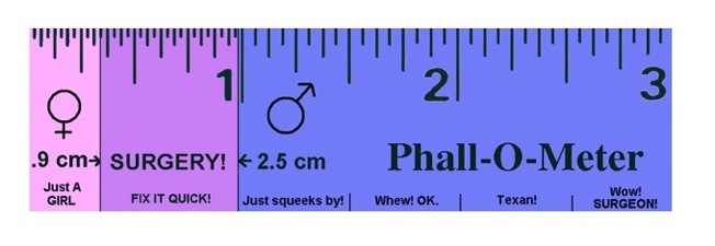 sexuality-body-phallometer-funny